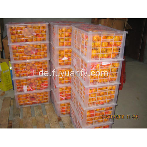 9 kg Kunststoff-Box Baby Mandarin